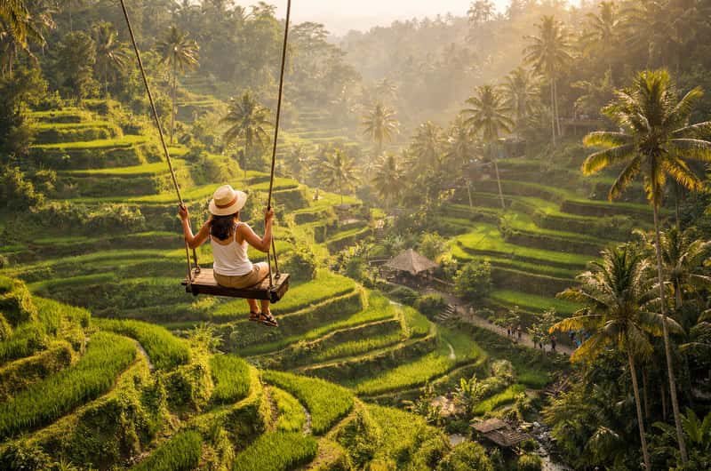 Bali Standard